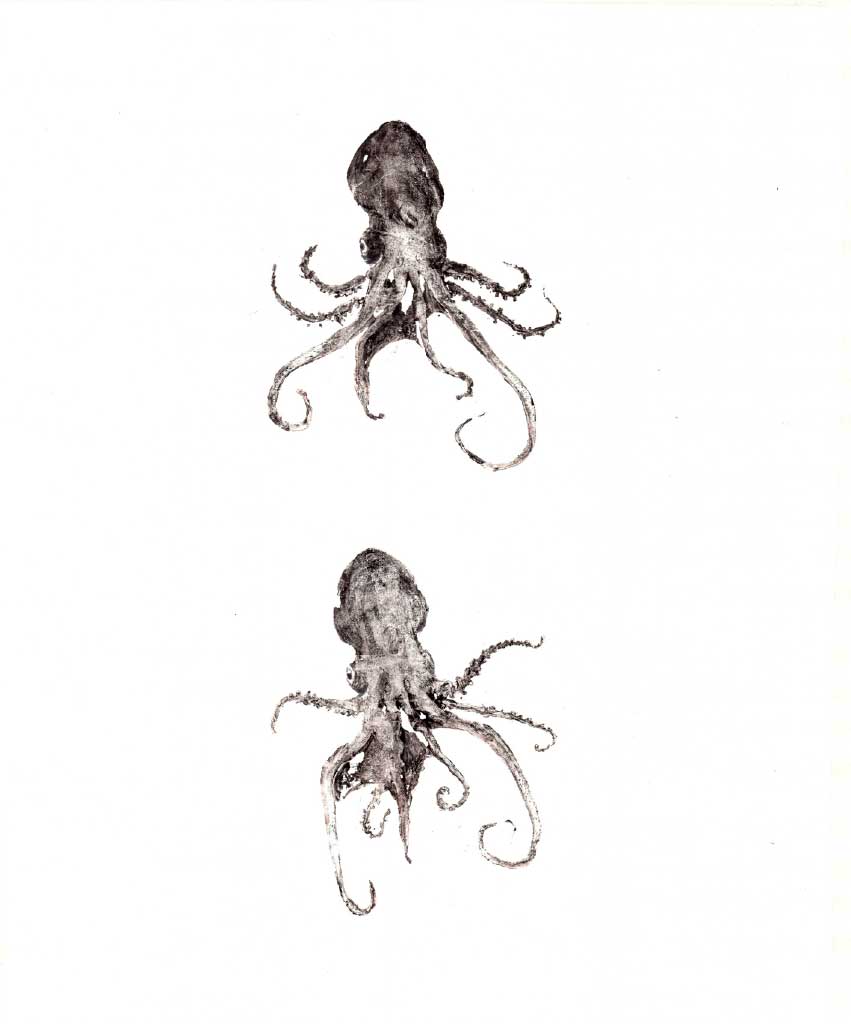 Tremoctopus 20x50 cm - Carta kozo Gyotaku, Acrilico 2022