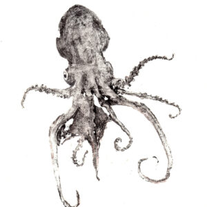 Tremoctopus (Tremoctopus Gracilis?) 20x50 cm Carta kozo Gyotaku, Acrilico 2022