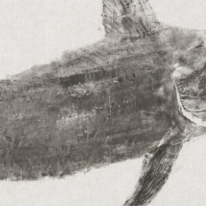 Detail: Pesce spada - Elena di Capita - Gyotaku Levante