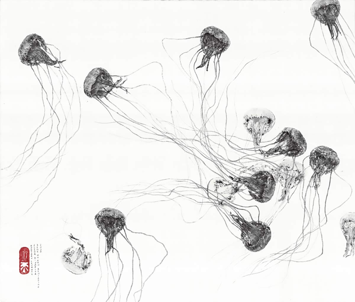 Meduse - Opere 2025